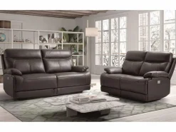 Les Tendances Sofá Relax|Sofá reclinable eléctrico de cuero Ducka-Marrón claro-Sistema Fijo - sin relajante-2 plazas