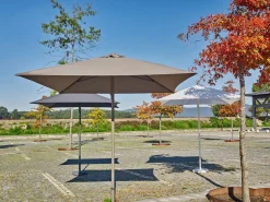 Dcb Garden Sombrilla de aluminio lacado y lona Olefin Gris antracita Outlet