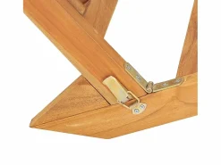 vidaxl Tumbona|Tumbona de madera maciza de teca