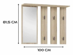 TOPESHOP Armario De Entrada|VIONI - Guardarropa de entrada - Perchero de pared con balda - 5 ganchos - Cajón + contenedor