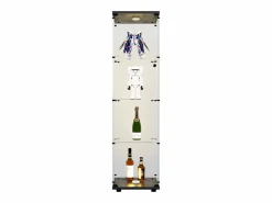 Vitrina de cristal - mueble expositor para colecciones con iluminación LED - 1 puerta y 4 estantes - vitrina para figuras Negro