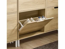Zapatero Estrecho con 4 Solapas Organizador FSR100-N ES^Sobuy Best