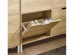 Zapatero Estrecho con 4 Solapas Organizador FSR100-N ES^Sobuy Best