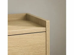 Zapatero Estrecho con 4 Solapas Organizador FSR100-N ES^Sobuy Best