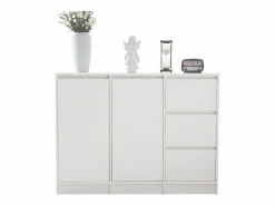 Zapatero|Mueble De Almacenaje|Zapatero moderno con gran espacio de almacenaje, 2 puertas y 3 cajones, balda regulable, (120x35x90 cm)