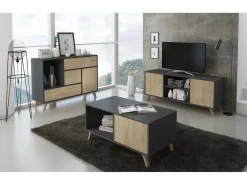 Skraut Home Zapatero|Mueble De Almacenaje|Zapatero WIND, color estructura Gris Antracita, color roble, 90x26x102cm